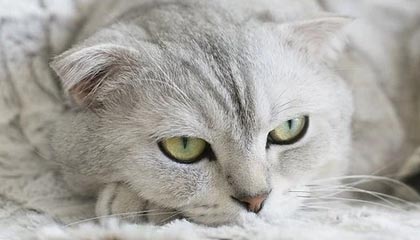 桐乡伴游,定制QQ:3494206190微信:act1322